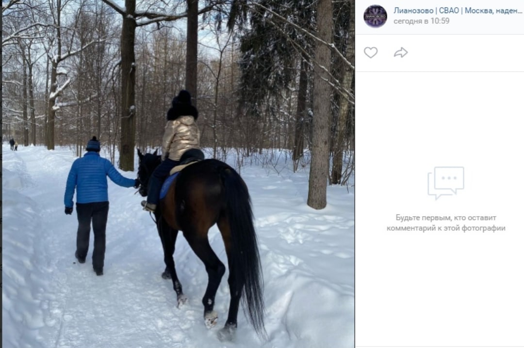 Фото дня: конная прогулка в Лианозове