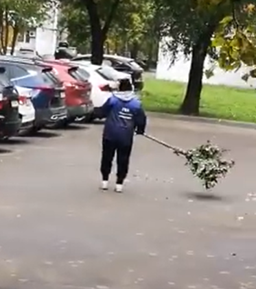 Дворники из Лианозова использовали ветки деревьев вместо метел